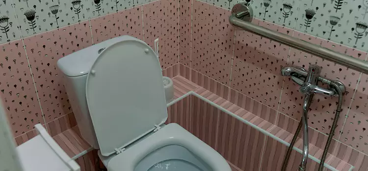 Meeting Diverse Needs With Accessible Restroom Solutions in Inkster, MI