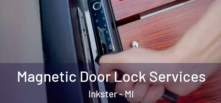  Magnetic Door Lock Services Inkster - MI